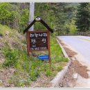 드라마황토펜션 이미지