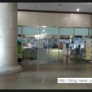 일동용암천 이미지