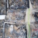 보스턴 훼일러호 네이버블로그