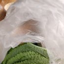 술이홀로(2) 이미지