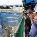 포스코이앤씨 이미지