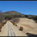 하연 선생 묘 이미지