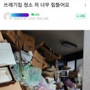 (펌) 쓰레기집 청소 저 너무 힘들어요 (역대급 혐) 이미지