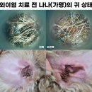 초읍동물병원 이미지