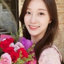 꽃시그널