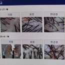 신세계백화점하남 2층 | 하남 미사 두피케어 추천 <보그헤어 신세계백화점 하남점> 데톡스헤드스파 솔직 후기