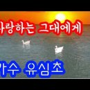 유심초 - 사랑하는 그대에게 / 문주란 - 가을이 오기전에 이미지