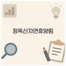 대풍정식음소 | 청옥산 자연휴양림 오토캠핑장 휴양관 계곡 맛집까지 꼭 알고가세요
