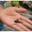 산수벨리펜션 이미지