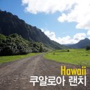 광우목장 이미지