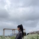 가림여행사