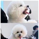 24시 인천 이음동물의료센터 이미지