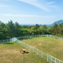 마루호텔 이미지