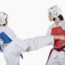 한국체대 올림픽 태권도장 네이버블로그