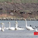 형산축산 이미지