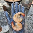 용추밸리 캠핑장 이미지