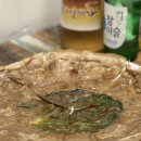 제천인두꺼비식당 - 서귀포시 대청로 37 | 제천인두꺼비식당