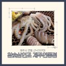 참숯삼인조제주연동점 | 제주연동맛집 제주저녁식사로 방문하기 좋은 산낙지구이 “참숯삼인조 제주연동점”