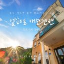 엘페로3 이미지