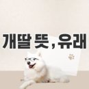 ◆＜正讀＞개딸들의 업적 이미지