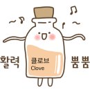 영아로마 이미지