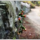 남해-104 이미지