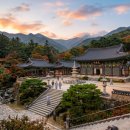 동진체육도장 | 서울의 전통사찰 절 현황 | 2026. 5월 서울시 인허가 사찰 이름, 주소, 유래 연혁