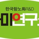 라미디자인연구소