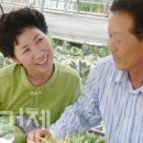 진열농장 이미지