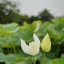 마하재활병원 이미지