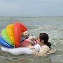 선녀와 강아지 | 인천선녀바위 댕댕썸머비치 당일치기 후기🐾내돈내산 강아지 구명조끼 튜브 고글 후기 강아지 해변 수영