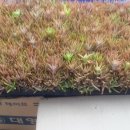 청석농장 이미지