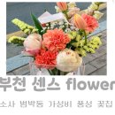 세븐일레븐부천에비뉴스타점 | [부천 소사구 꽃집 센스flower] 부천 가성비 꽃집 부모님 선물 대성공 후기