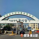 시민시장입구 | 양재 꽃시장 가격 후기 꽃다발 꽃바구니 구매부터 주차까지 총정리