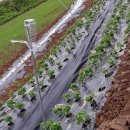 유순농장 이미지