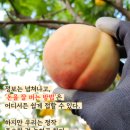 팔구농장 이미지