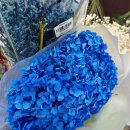 선거웰빙 영농조합법인 이미지