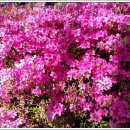 묵정어린이공원 이미지