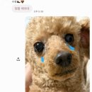 또와정육점 | 3月