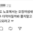 노포, 모두가 간과하고 있는 사실 이미지