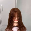 찬호헤어 이미지