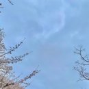 경화찻집 이미지