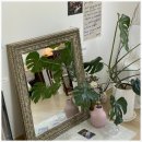 김삿갓면-42 | 영월펜션 감성 숙소 스테이브릴 만족한 여행