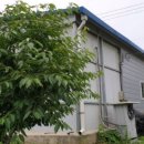 선고3리 마을회관 이미지