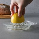 레몬스퀴즈