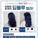딥블루