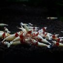 소마농장 이미지