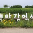 백마강식당 이미지