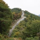 화장산(花長山586m)과 연화산(蓮花山444m)/경남 함양 이미지