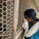 산마을 양계장 이미지